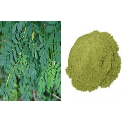 Elumbu otti leaves 100gm| Bone Joint Leaves| Dudhiya Choti| Murikootipacha| Antrinta Pulu| Kodali Soppu Elumbu otti leaves 100gm| Bone Joint Leaves| Dudhiya Choti| Murikootipacha| Antrinta Pulu| Kodali Soppu