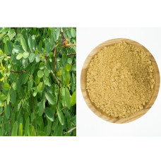 Karumboola Powder | Karu Nelli | Panjoli | Panjuli | Phyllanthus Reticulatus | kamboji | karumpoola powder | karumpula powder | garumpoola powder 
