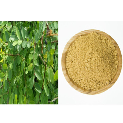 Karumboola Powder | Karu Nelli | Panjoli | Panjuli | Phyllanthus Reticulatus | kamboji | karumpoola powder | karumpula powder | garumpoola powder 