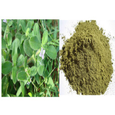 Nathai choori powder 100gm| Landrina|Madanaghanti|Madhana Chettu|Kudalchurukki|Nathai Choori Beej Nathai choori powder 100gm| Landrina|Madanaghanti|Madhana Chettu|Kudalchurukki|Nathai Choori Beej