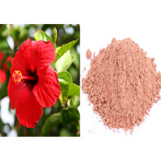 Hibiscus Powder 100gm | Sembaruthi | Gudhal | Chembarathi | Mandara | Dasavala | Jaswand Hibiscus Powder 100gm | Sembaruthi | Gudhal | Chembarathi | Mandara | Dasavala | Jaswand