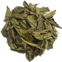 Nochi Ilai | Chaste Tree | Nirgundi 100gm