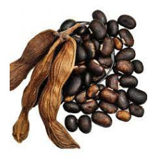Poonaikali vidhai 100gm|Velvet Bean|Kaunch|Dulagondi|Naikkurana|Nasuguni Beeja Poonaikali vidhai 100gm|Velvet Bean|Kaunch|Dulagondi|Naikkurana|Nasuguni Beeja