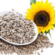 Sunflower seeds 100gm | Soorajmukhi ke beej