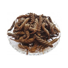 Valam purikai 100gm | Indian Screw Tree | Maror Phali | Marodi Kaya | Maroda Phala | Valampiri Valam Valam purikai 100gm | Indian Screw Tree | Maror Phali | Marodi Kaya | Maroda Phala | Valampiri Valam