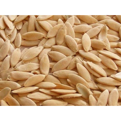 Vellari vidhai 100gm | Vellari Vithu | Dosakaya Vittanalu | Cucumber Seeds | Kheera Beej 