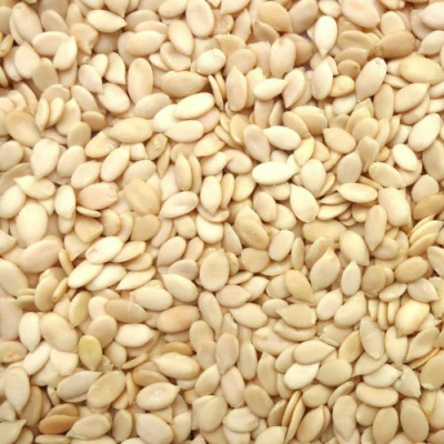 Water melon seeds 100gm | tarbooj ke beej | puchhakaya vitthanalu | kallangadi beejagalu