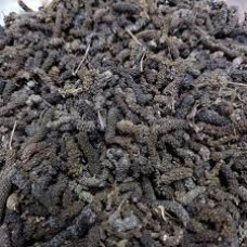 Thuthi ver 100gm |Indian Mallow | Kanghi | Tutturubenda | Velluram | Tutti