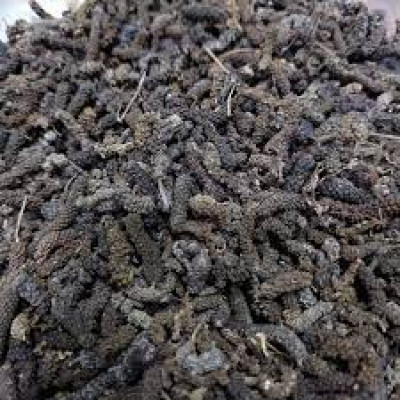 Thuthi ver 100gm |Indian Mallow | Kanghi | Tutturubenda | Velluram | Tutti