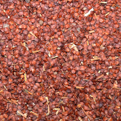 Neermulli vidhai 100g|Marsh Barbel|Talmakhana|Kokilakshi|Neerurinji|Gokarni