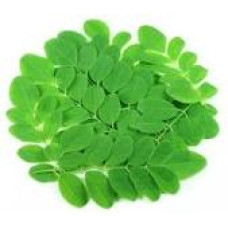 Murungai leaves 250gm | Drumstick Leaves  | Sahjan Patta  | Muringayila | Munagaku | Nugge Soppu