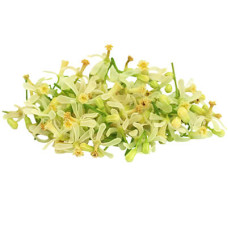 Veppam poo 100gm | Neem Flower | Vepa Puspam | Ariyaveppu Poovu | Neem Phool | Bevu Hoovu Veppam poo 100gm | Neem Flower | Vepa Puspam | Ariyaveppu Poovu | Neem Phool | Bevu Hoovu