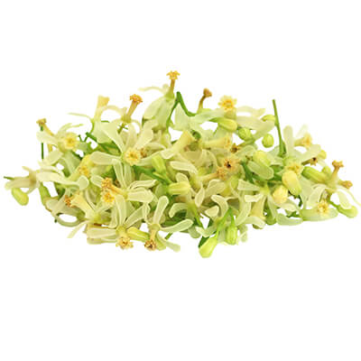 Veppam poo 100gm | Neem Flower | Vepa Puspam | Ariyaveppu Poovu | Neem Phool | Bevu Hoovu 