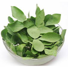 Vilva ilai 100gm | Bael leaf | Maredu Aku | Koovalam Ila | Bilvapatre | Bel Patra Vilva ilai 100gm | Bael leaf | Maredu Aku | Koovalam Ila | Bilvapatre | Bel Patra