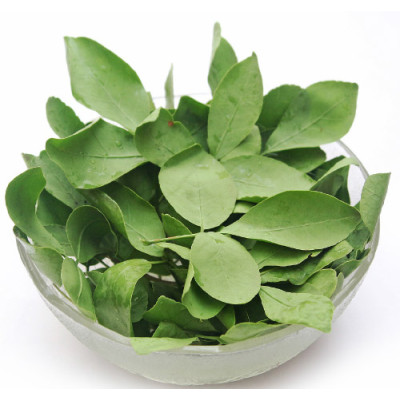 Vilva ilai 100gm | Bael leaf | Maredu Aku | Koovalam Ila | Bilvapatre | Bel Patra 