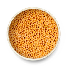 Ven kadugu 100gm | White Mustard Seeds | White mustard | Safed Rai | Vella Kadugu