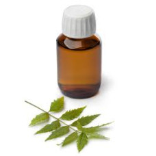 Veppaennai 100ml|Neem oil|Vepa Noone|Neem Ka Tel|Veppenna|Bevina Enne Veppaennai 100ml|Neem oil|Vepa Noone|Neem Ka Tel|Veppenna|Bevina Enne