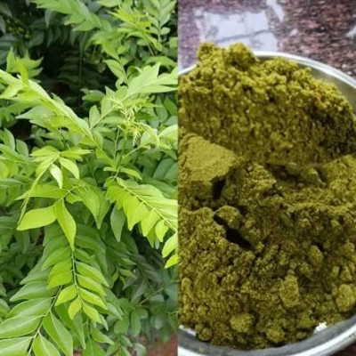 Curry leaves powder 100gm | Karuveppilai Podi | Karivepaku Podi 