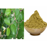 Ilanthai ilai Powder | Indian Jujube leaves | Ber patte | Lanta powder 50gm
