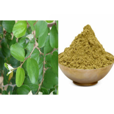 Ilanthai ilai Powder | Indian Jujube leaves | Ber patte | Lanta powder 50gm