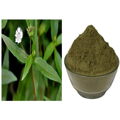 Karisalankanni powder | False Daicy Powder | Bhringaraj powder 100gm