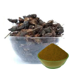 Koraikilangu Powder | Nut Grass | Motha | Coco Grass 100gm