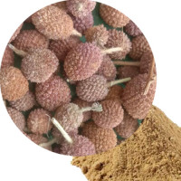 Kottai Karanthai Powder | Indian Globe Thistle | Mundi 100gm