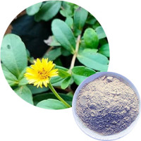 Manjal Karisalankanni Powder | False Daisy | Yellow Bhringaraj 100gm