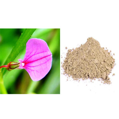 Orithal thamarai powder 100gm |Spade Flower|Ratna Purush |Orilai Thamarai|Nilakobari|Purusharathna 