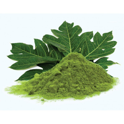 Papaya leaf powder 100gm|Pappali ilai podi |Boppayi aaku podi |Omakka ila podi |Parangi ele pudi Papaya leaf powder 100gm|Pappali ilai podi |Boppayi aaku podi |Omakka ila podi |Parangi ele pudi