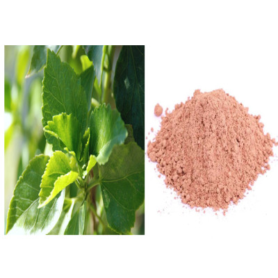 Sembaruthi ilai powder 100gm|Hibiscus Leaf Powder|Chemparathi Ila Podi 