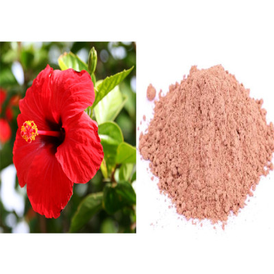 Sembaruthipoo powder100gm|Hibiscus Flower Powder|Gudhal Phool |Javapushpamu Podi