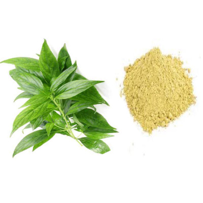 Siriyanangai powder 100gm | King of Bitters | Kalmegh | Nelavemu | Kiriyath 