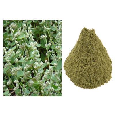Sirpeelai powder 100gm | Mountain Knot Grass | Kapooreejadee | Pindi Donda | Cherula | Bilesuli