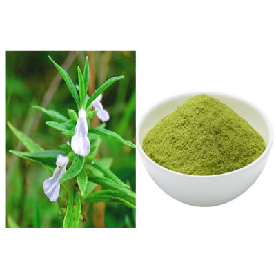 Siruthumbai powder 100gm | White Dead Nettle | Chota Halkusa | Tummi | Thumba 