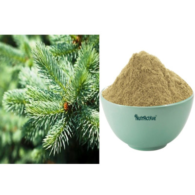 Thalichapathiri powder 100gm | Indian Silver Fir | Talispatra | Taleesapatri | Thaleesapathram