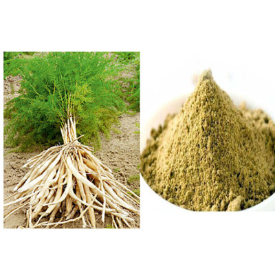 Thaneer vittan kilangu powder 100gm | Shatavari | Pillipichara