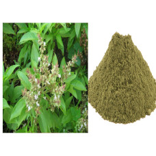 Thiruneetru pachalai powder 100gm | Sweet Basil | Ram Tulsi | Pachcha Pushpam | Bhu Tulasi | Kamakasturi 