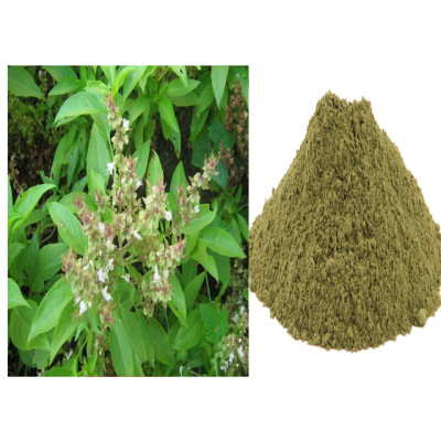 Thiruneetru pachalai powder 100gm | Sweet Basil | Ram Tulsi | Pachcha Pushpam | Bhu Tulasi | Kamakasturi 