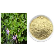Thuthuvalai powder 100gm | Climbing Brinjal | Kantakari | Tudavalam | Alarkapatramu | Mullumushta