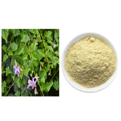 Thuthuvalai powder 100gm | Climbing Brinjal | Kantakari | Tudavalam | Alarkapatramu | Mullumushta