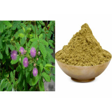 Thotta sinungi powder 100gm | Touch-Me-Not | Chui Mui | Attaapatti | Muttidare Muni | Thottavadi