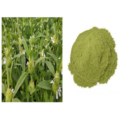 Thumbai powder 100gm | Common Leucas | Chhota Halkusa | Thumba | Tummi | Thumbe