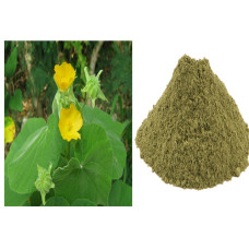 Thuthi ilai powder 100gm | Indian Mallow | Kanghi | Tutturu Benda | Tuti Gida | Thuthi Ila 