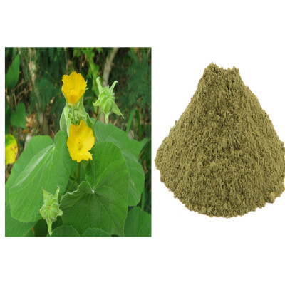 Thuthi ilai powder 100gm | Indian Mallow | Kanghi | Tutturu Benda | Tuti Gida | Thuthi Ila 