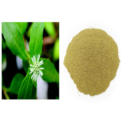 White karisalan kanni powder 100gm | False Daisy | Bhringraj | Kayyonni | Galagara | Garagada Soppu White karisalan kanni powder 100gm | False Daisy | Bhringraj | Kayyonni | Galagara | Garagada Soppu