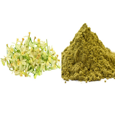 Veppam poo powder 100gm | Neem Phool Powder | Vepa Puspam Powder | Ariyaveppu Ila Poo | Neem Flower Powder Veppam poo powder 100gm | Neem Phool Powder | Vepa Puspam Powder | Ariyaveppu Ila Poo | Neem Flower Powder