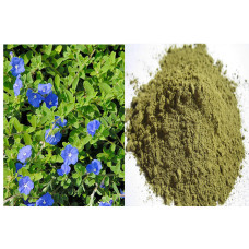 Vishnu kranthai powder 100gm | Slender Dwarf Morning Glory | Shyamkranti | Vishnukranthamu Vishnu kranthai powder 100gm | Slender Dwarf Morning Glory | Shyamkranti | Vishnukranthamu