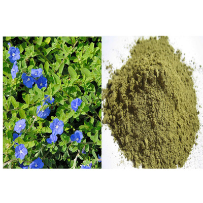 Vishnu kranthai powder 100gm | Slender Dwarf Morning Glory | Shyamkranti | Vishnukranthamu