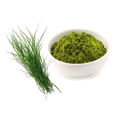 Arukam Pul | Bermuda Grass Powder | Doob powder 100gm 